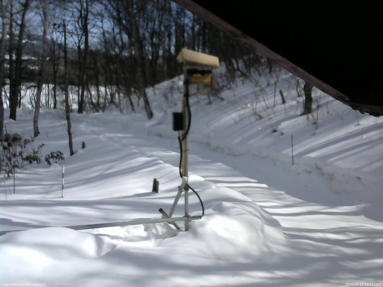 長野県菅平高原 ゆたか山荘 南側 2026/02/21 13:15