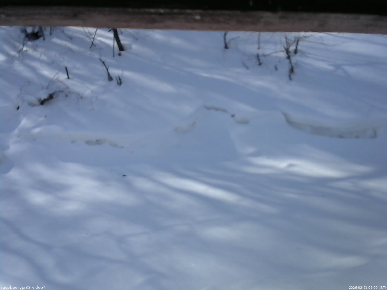 長野県菅平高原 ゆたか山荘 東側(坂下) 2026/02/21 09:00