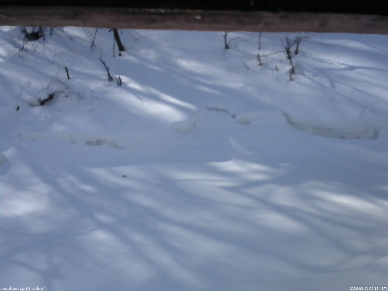 長野県菅平高原 ゆたか山荘 東側(坂下) 2026/02/21 09:15