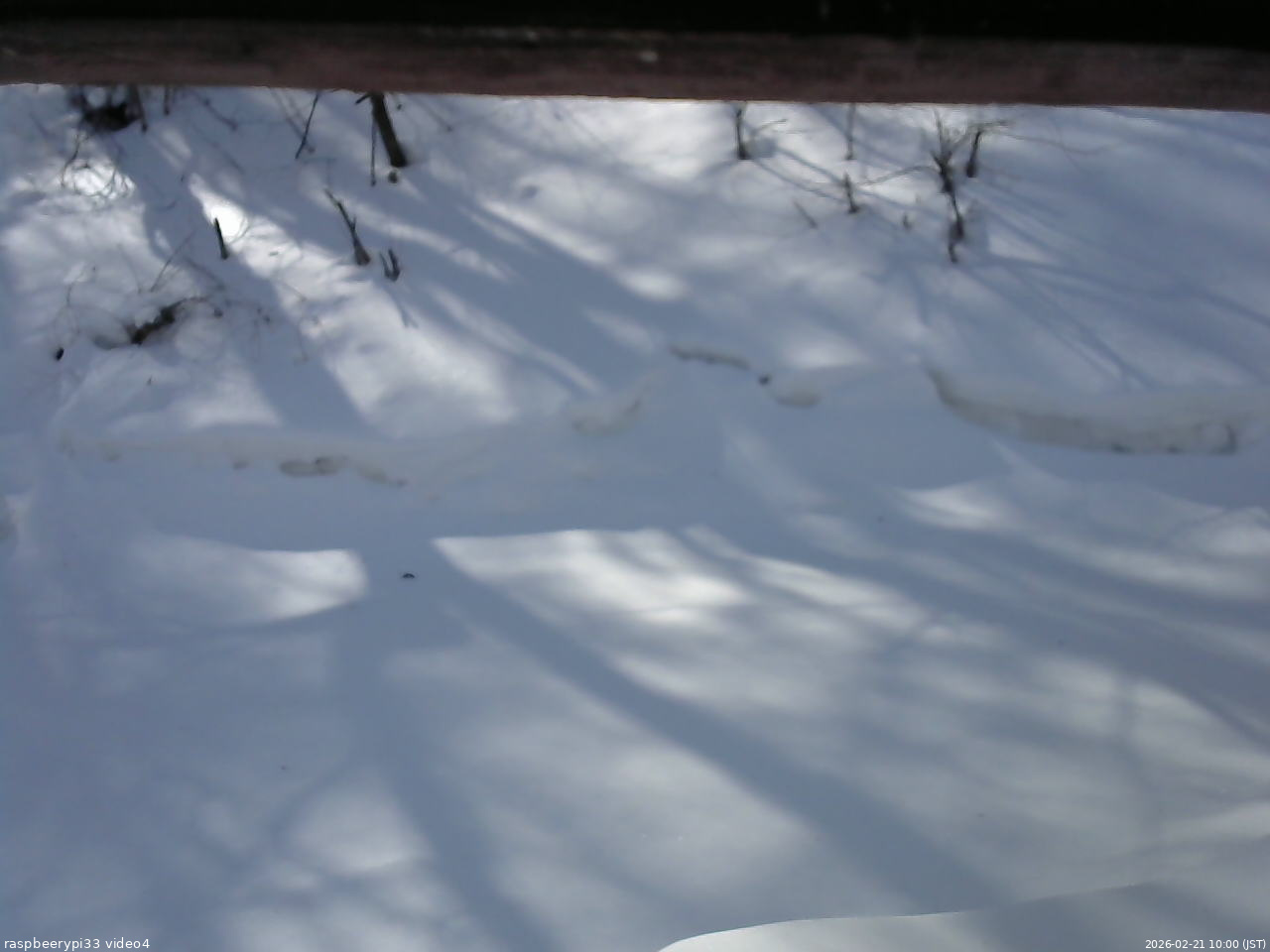 長野県菅平高原 ゆたか山荘 東側(坂下) 2026/02/21 10:00