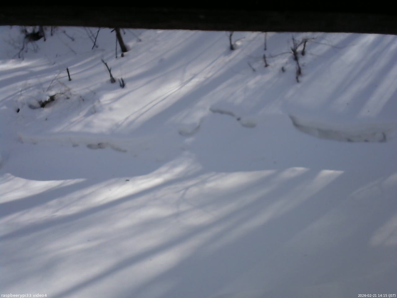長野県菅平高原 ゆたか山荘 東側(坂下) 2026/02/21 14:15
