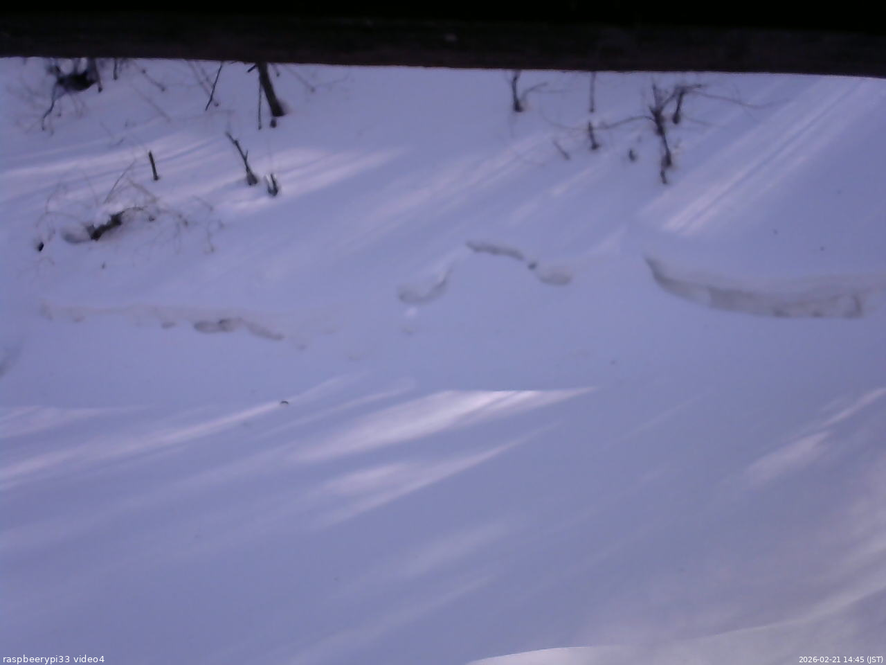 長野県菅平高原 ゆたか山荘 東側(坂下) 2026/02/21 14:45