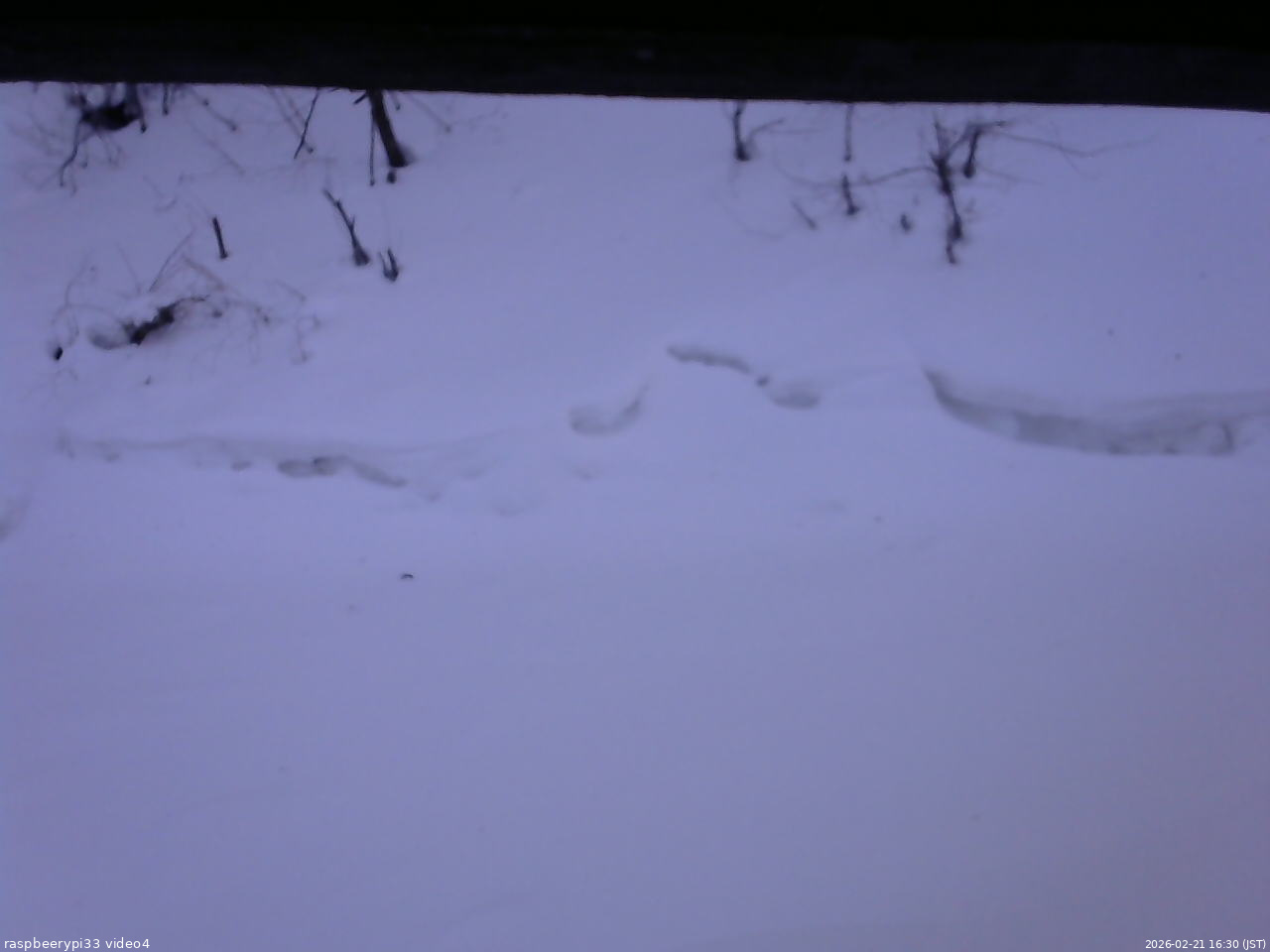 長野県菅平高原 ゆたか山荘 東側(坂下) 2026/02/21 16:30