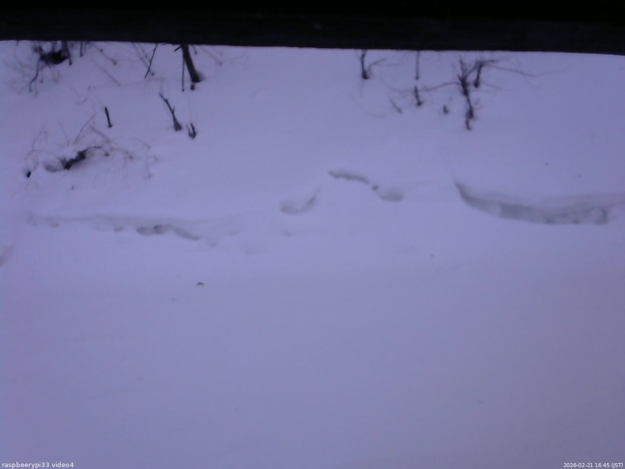 長野県菅平高原 ゆたか山荘 東側(坂下) 2026/02/21 16:45