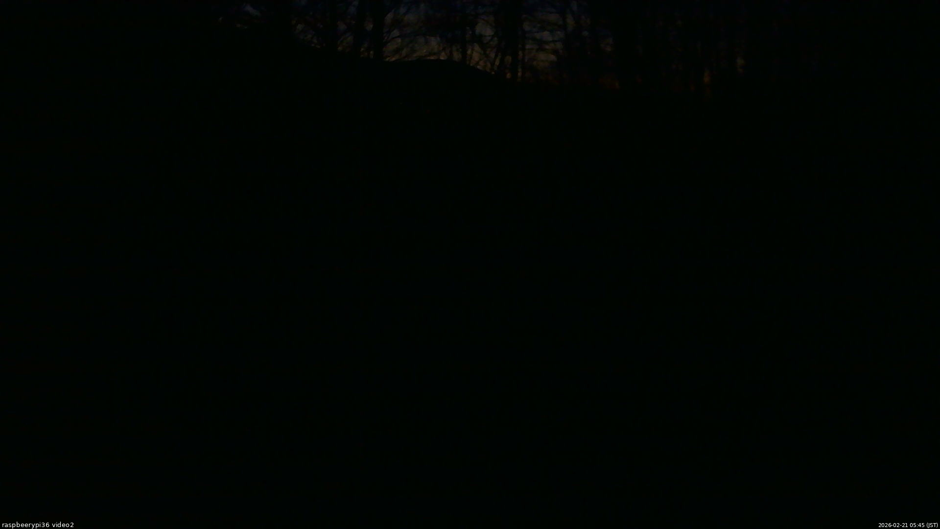 長野県菅平高原 ゆたか山荘 駐車場奥 2026/02/21 05:45