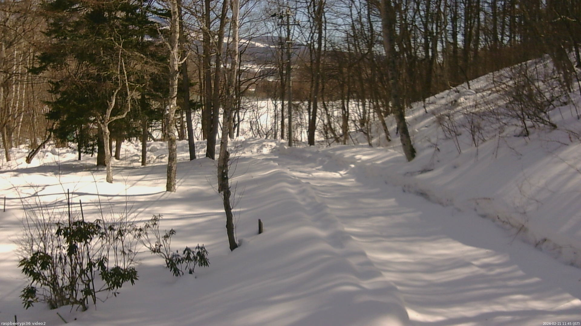 長野県菅平高原 ゆたか山荘 駐車場奥 2026/02/21 11:45