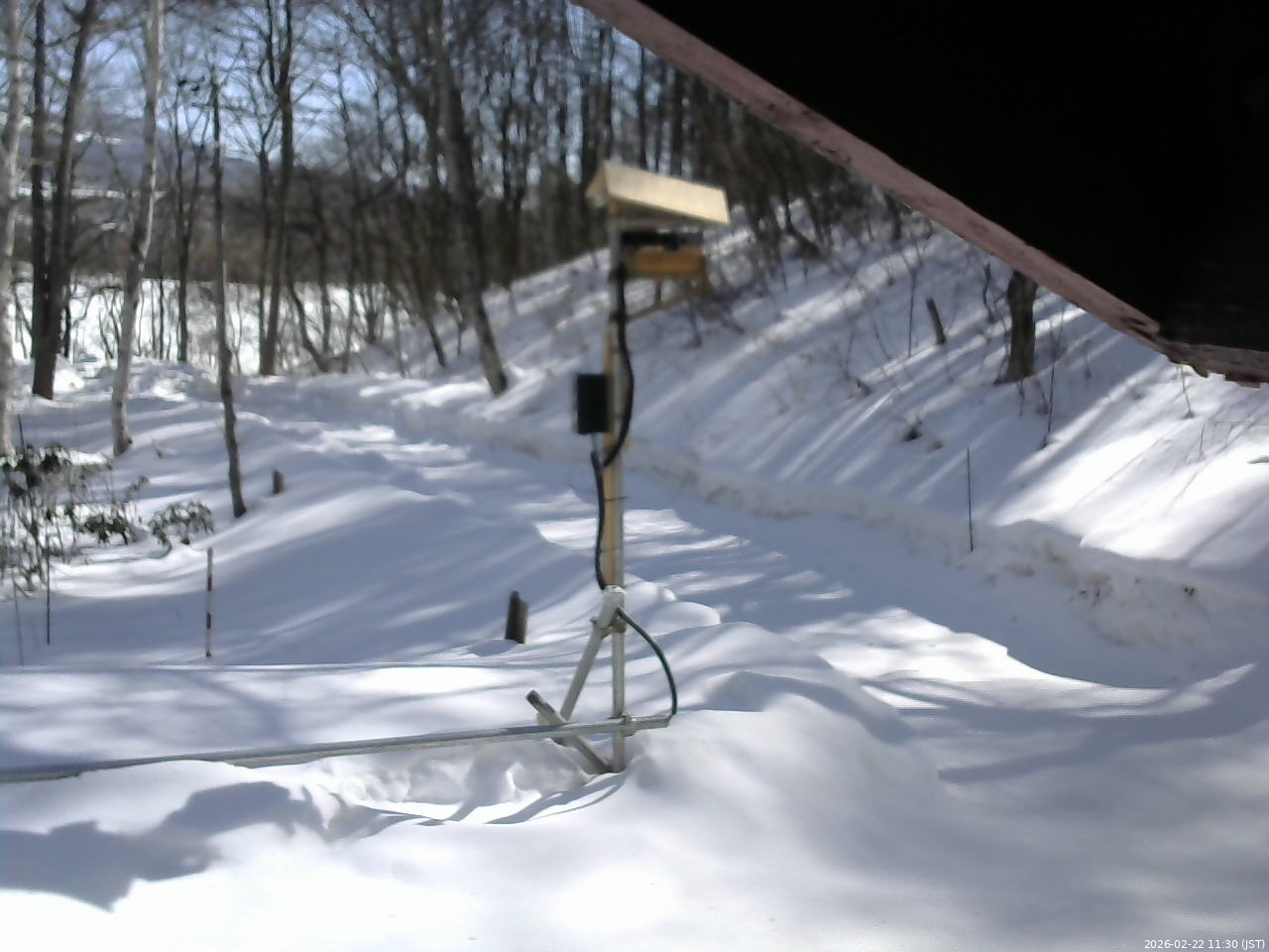 長野県菅平高原 ゆたか山荘 南側 2026/02/22 11:30