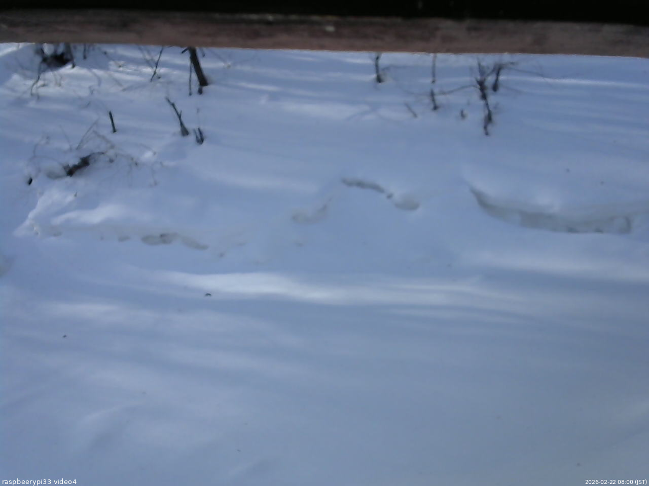 長野県菅平高原 ゆたか山荘 東側(坂下) 2026/02/22 08:00