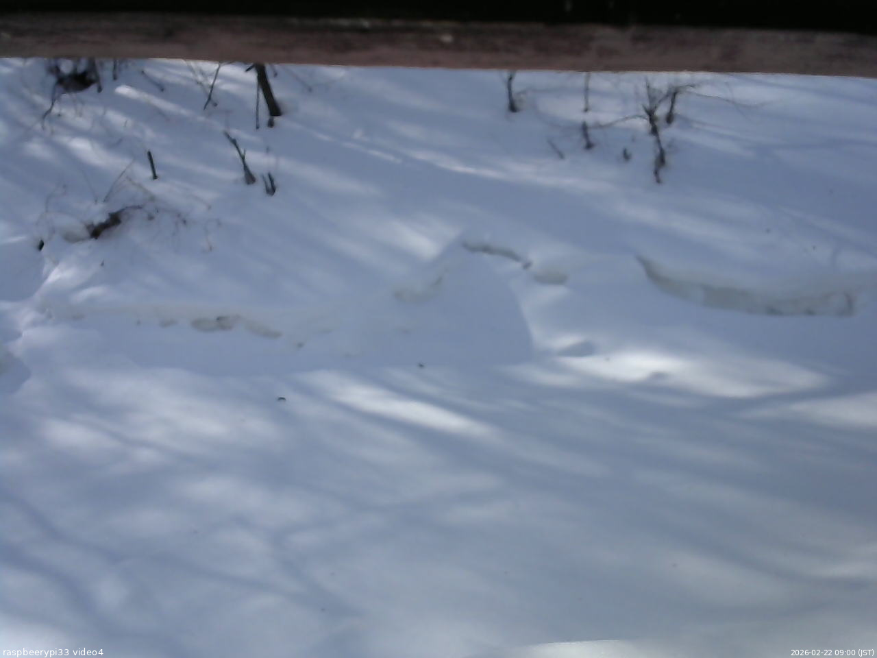 長野県菅平高原 ゆたか山荘 東側(坂下) 2026/02/22 09:00