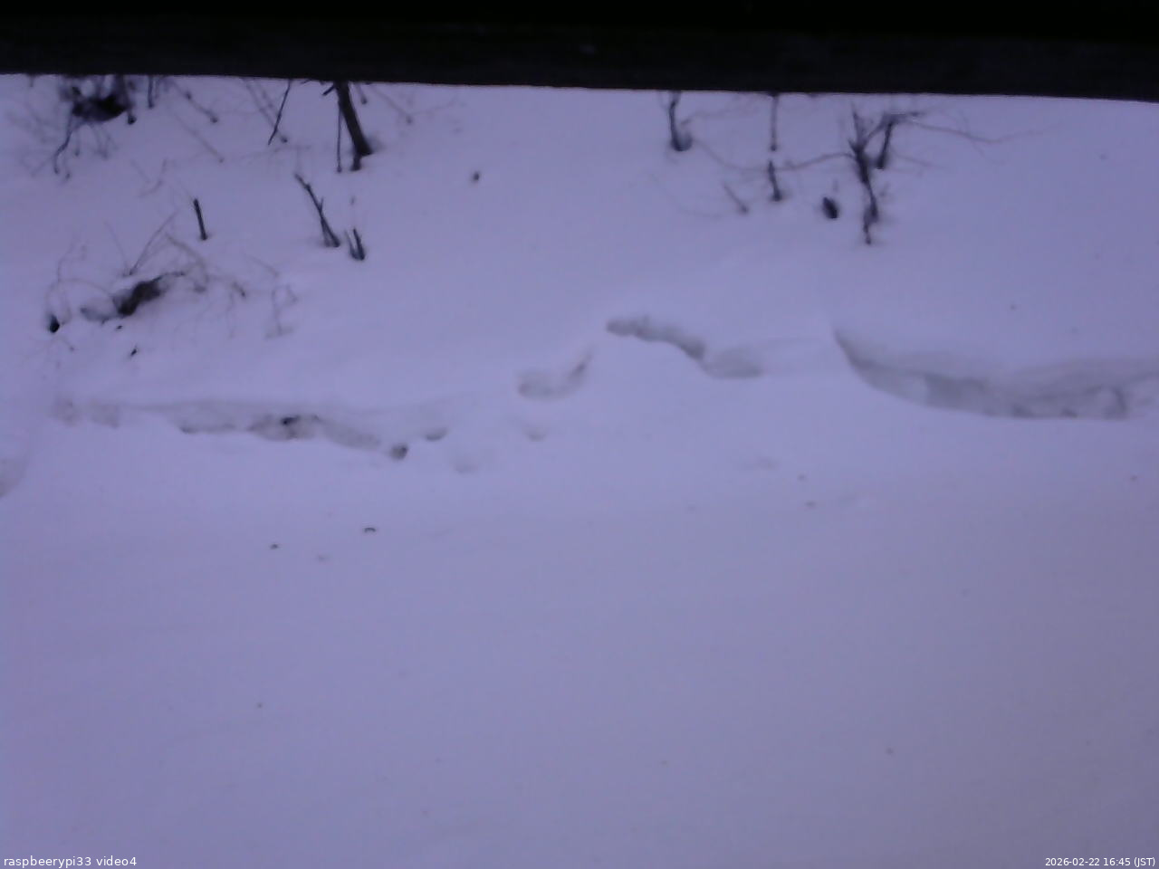 長野県菅平高原 ゆたか山荘 東側(坂下) 2026/02/22 16:45