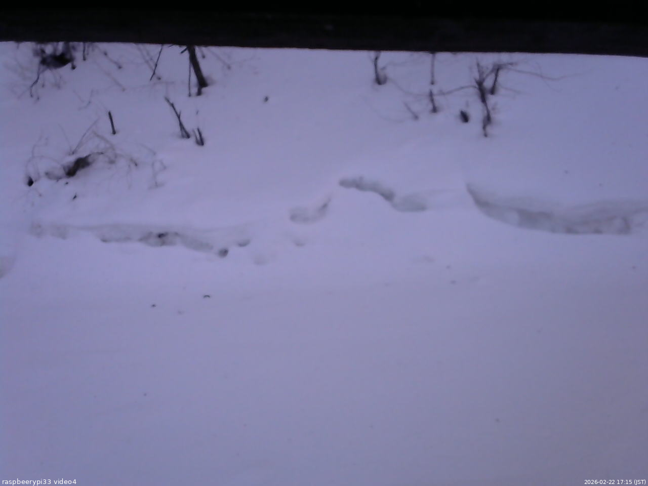 長野県菅平高原 ゆたか山荘 東側(坂下) 2026/02/22 17:15