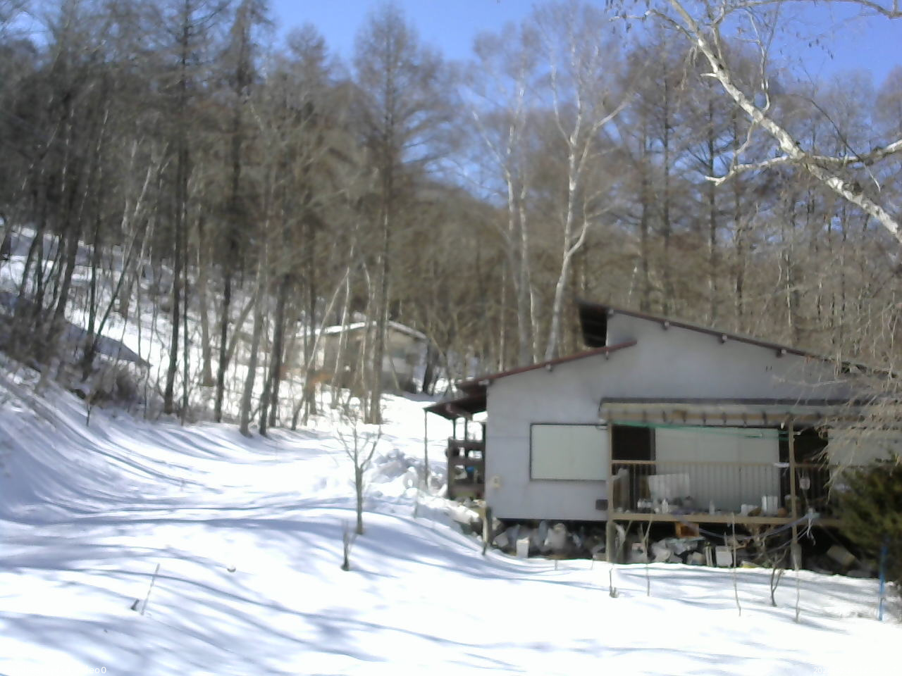 長野県菅平高原 ゆたか山荘 西側(坂上) 2026/02/22 12:15