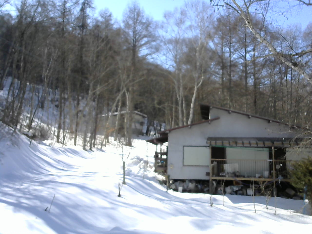 長野県菅平高原 ゆたか山荘 西側(坂上) 2026/02/22 14:00