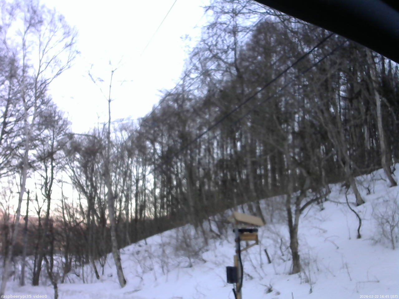 長野県菅平高原 ゆたか山荘 温度計 2026/02/22 16:45