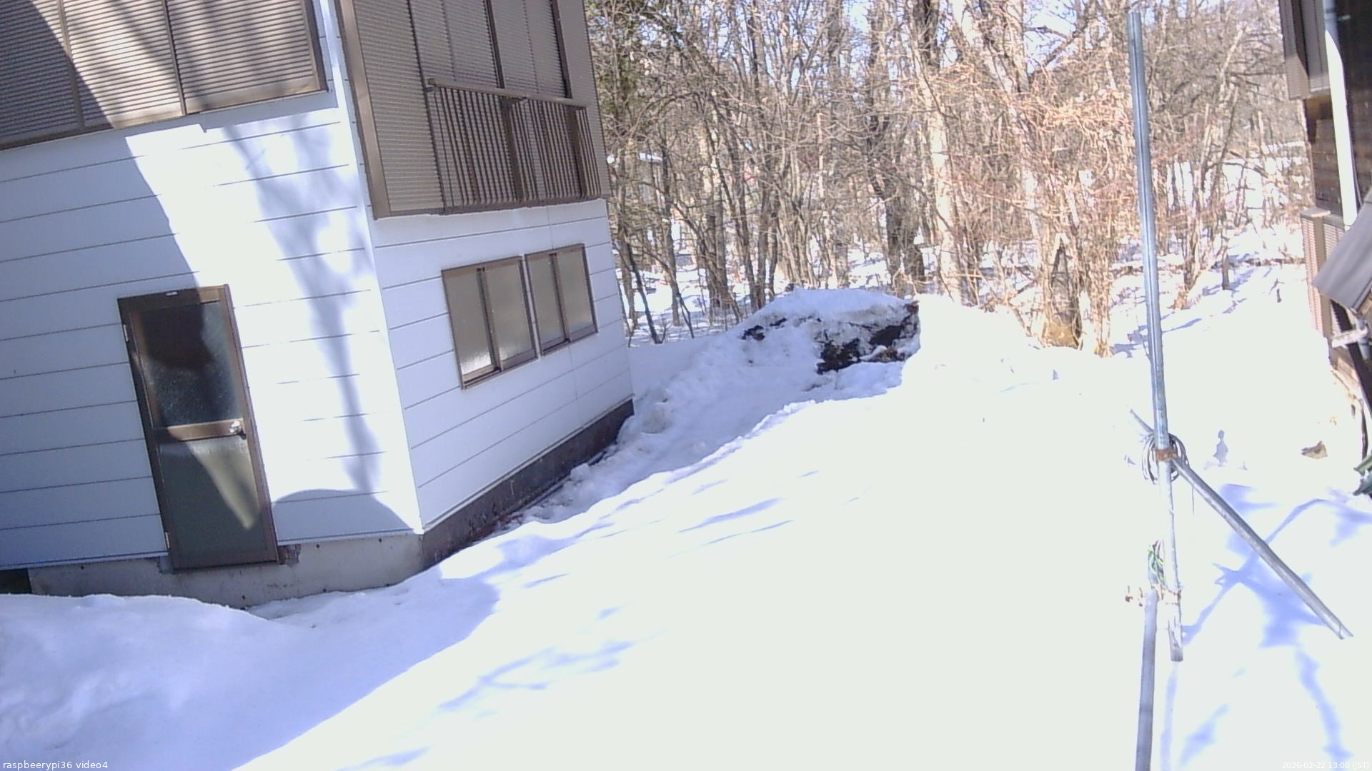 長野県菅平高原 ゆたか山荘 坂上 2026/02/22 13:00
