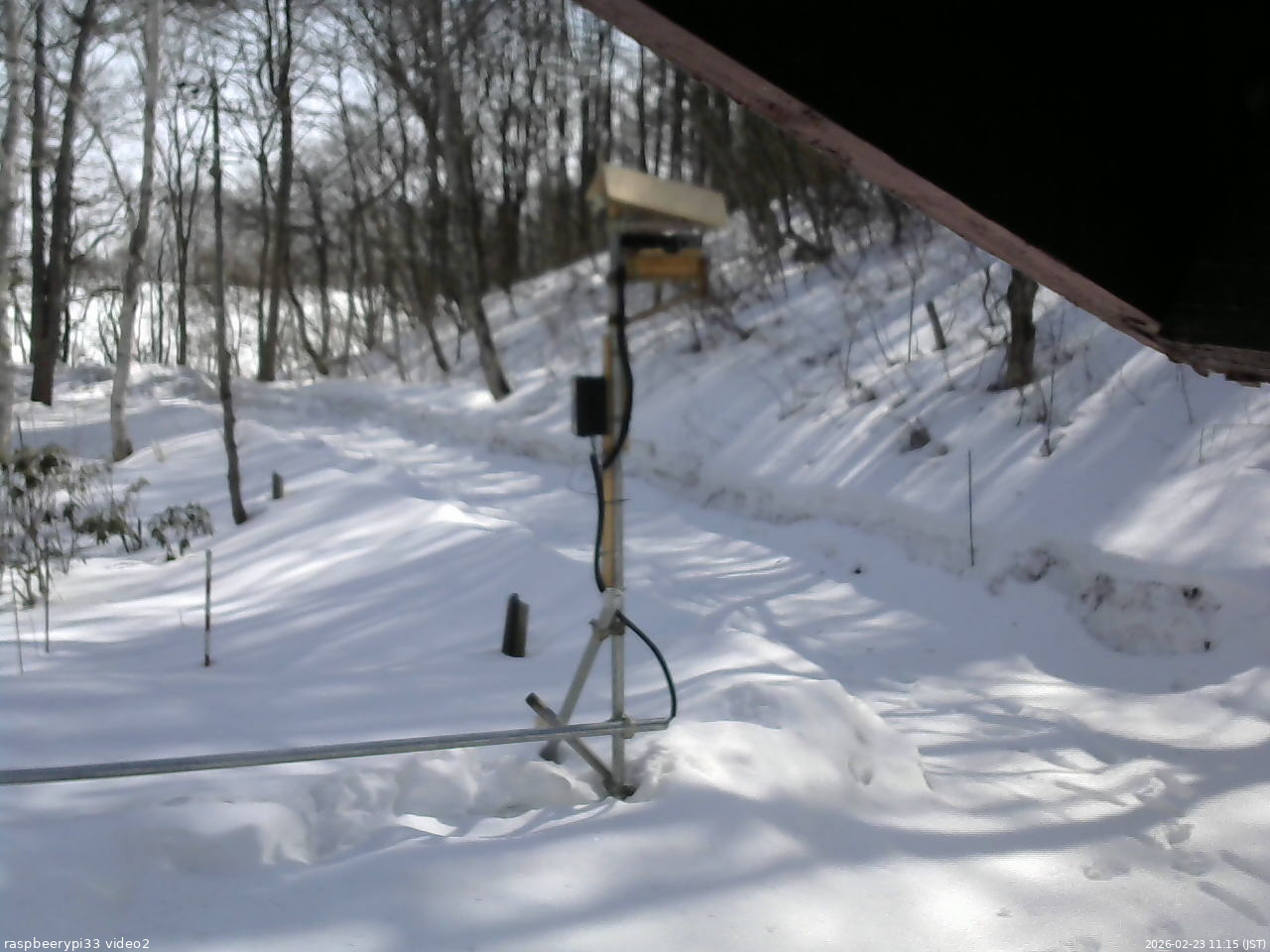 長野県菅平高原 ゆたか山荘 南側 2026/02/23 11:15