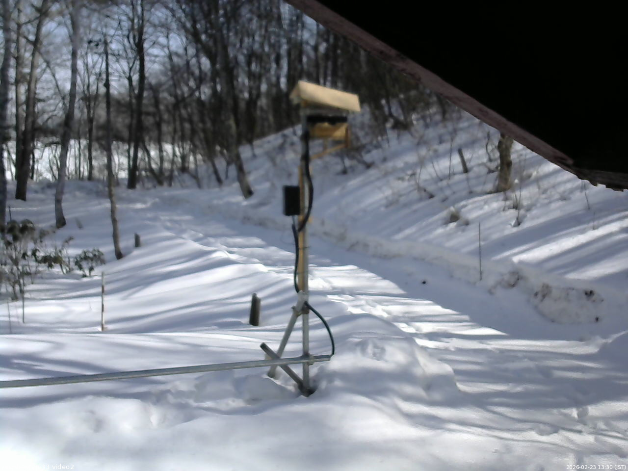 長野県菅平高原 ゆたか山荘 南側 2026/02/23 13:30