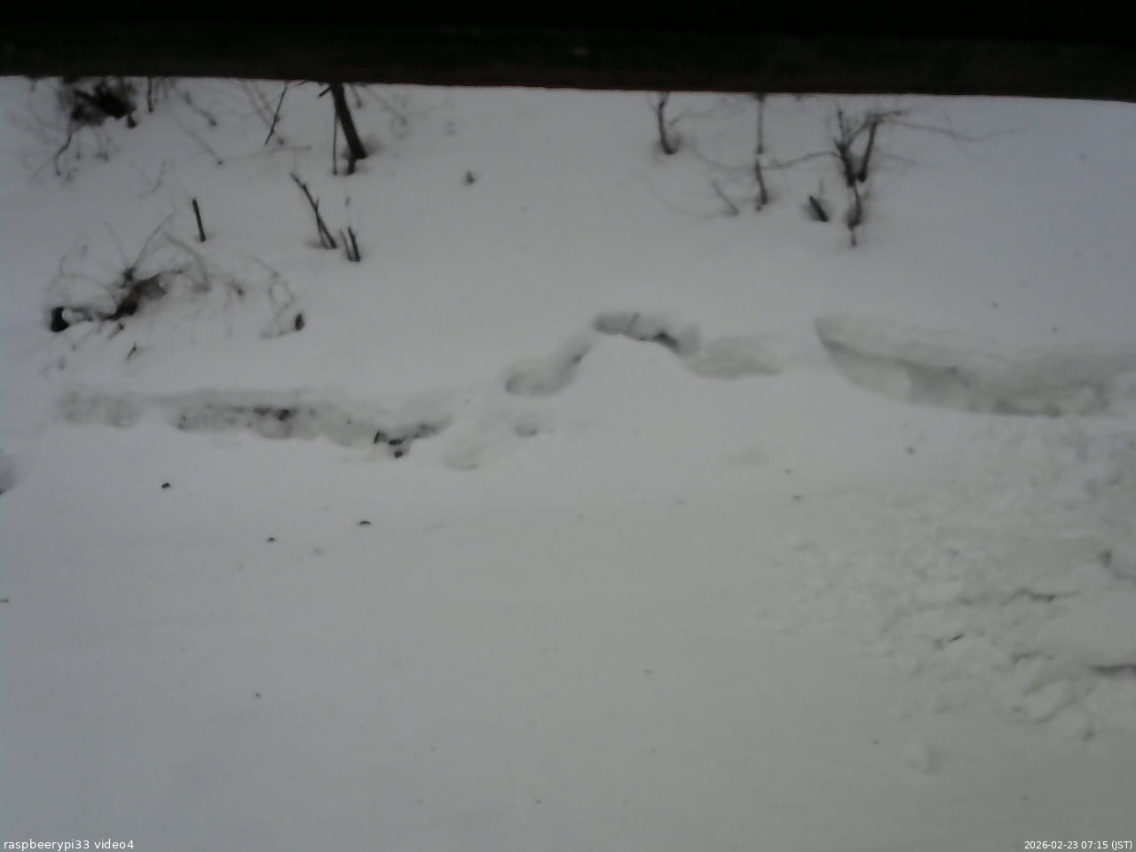 長野県菅平高原 ゆたか山荘 東側(坂下) 2026/02/23 07:15