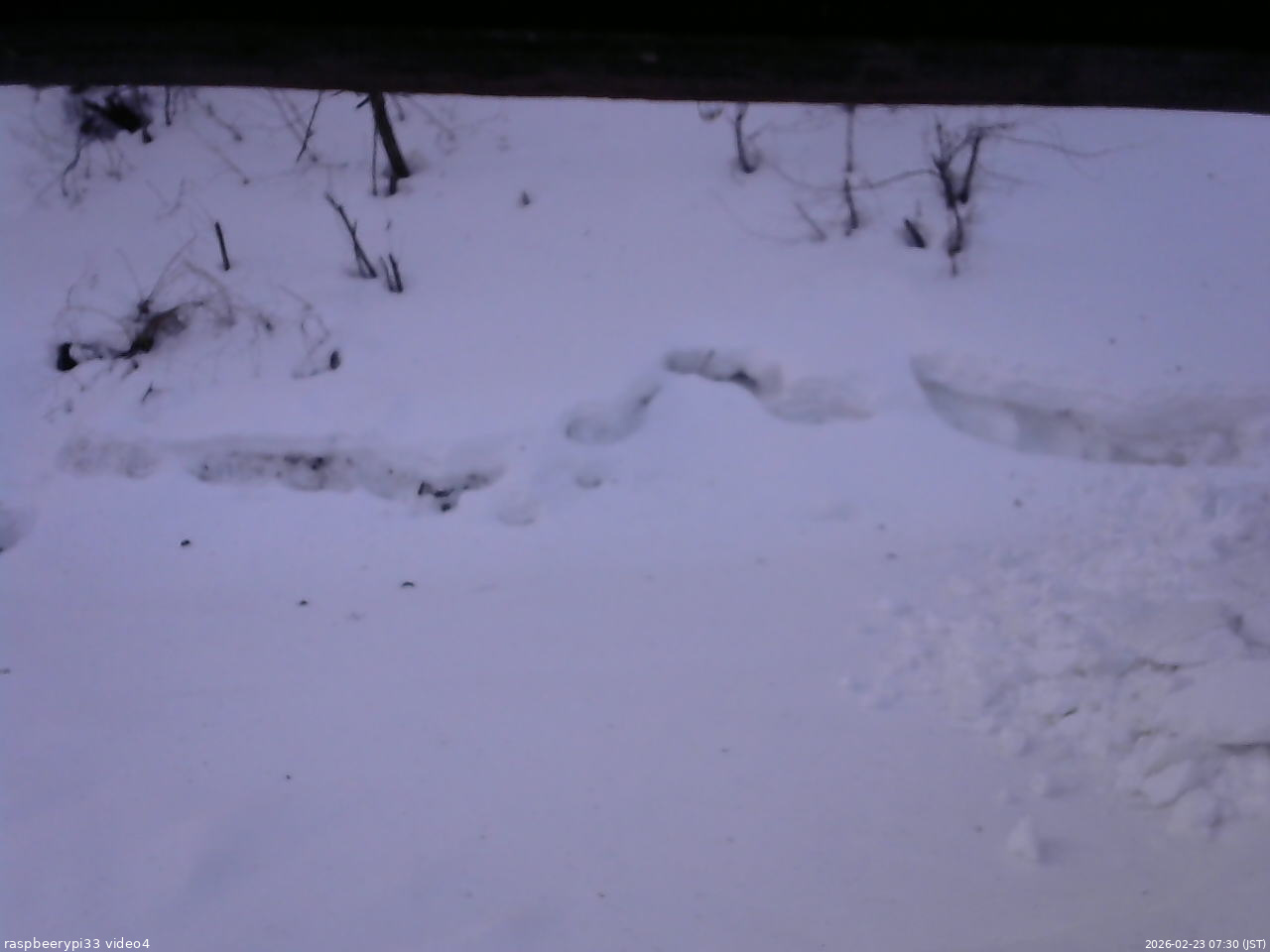 長野県菅平高原 ゆたか山荘 東側(坂下) 2026/02/23 07:30