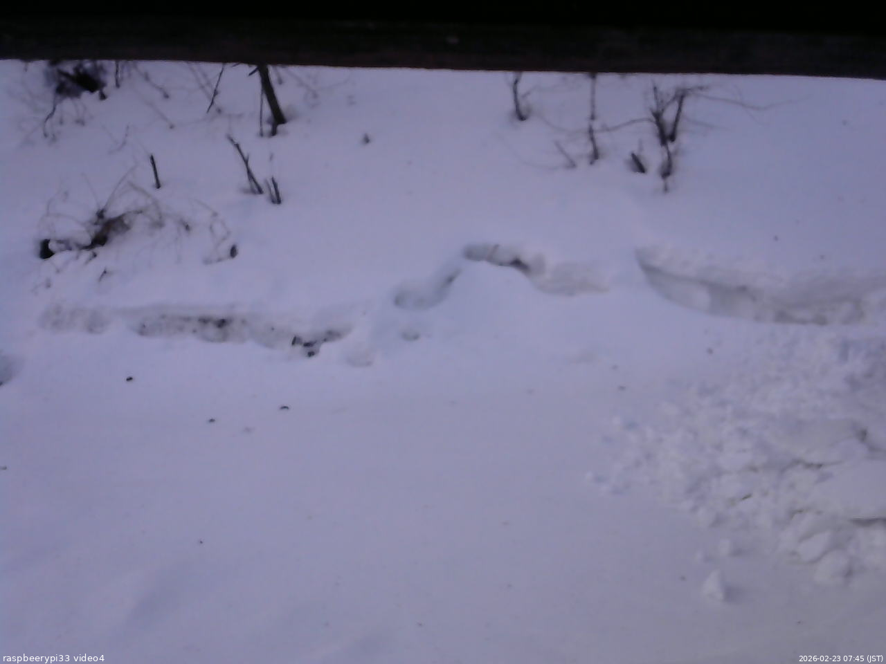 長野県菅平高原 ゆたか山荘 東側(坂下) 2026/02/23 07:45