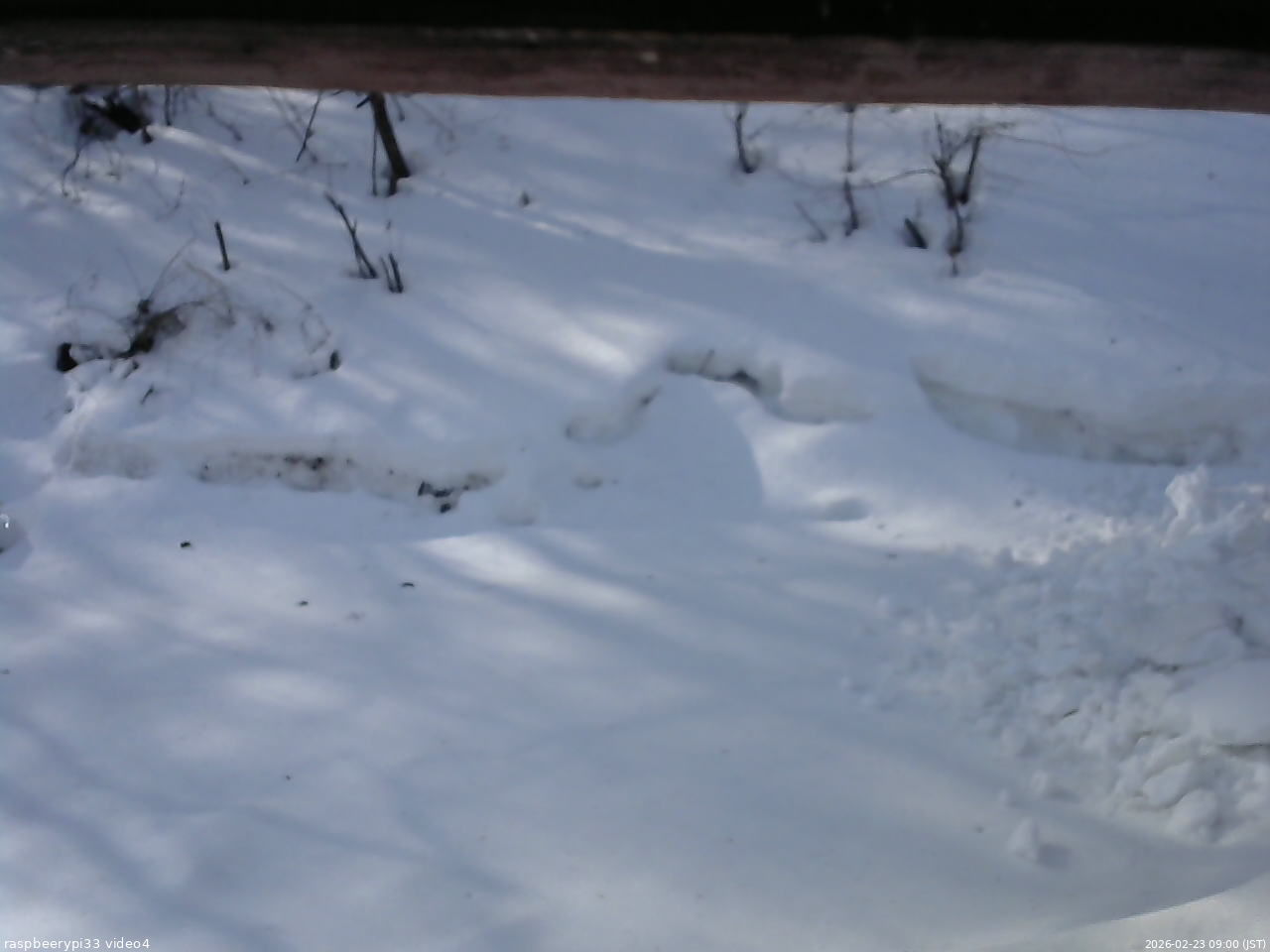 長野県菅平高原 ゆたか山荘 東側(坂下) 2026/02/23 09:00