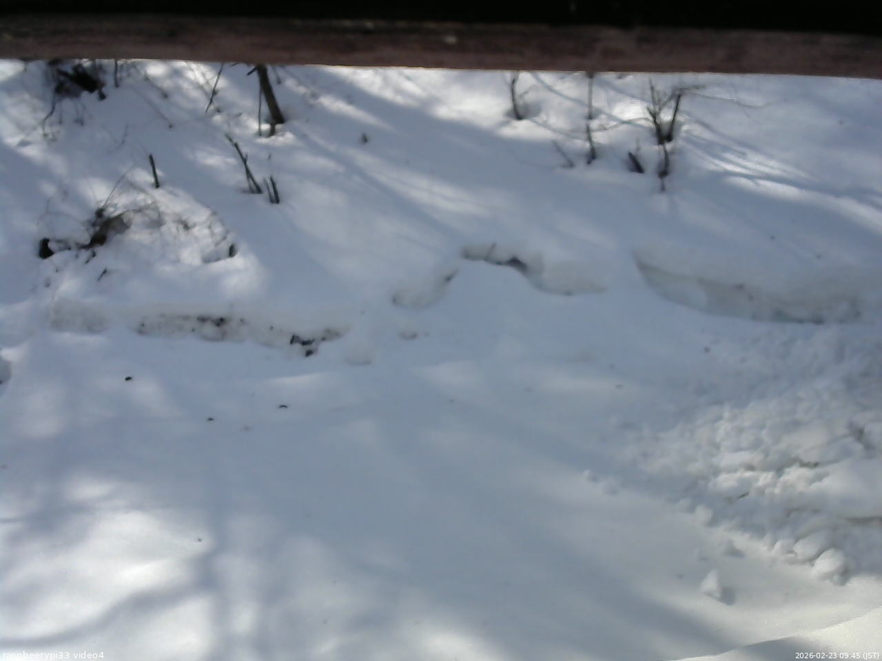 長野県菅平高原 ゆたか山荘 東側(坂下) 2026/02/23 09:45