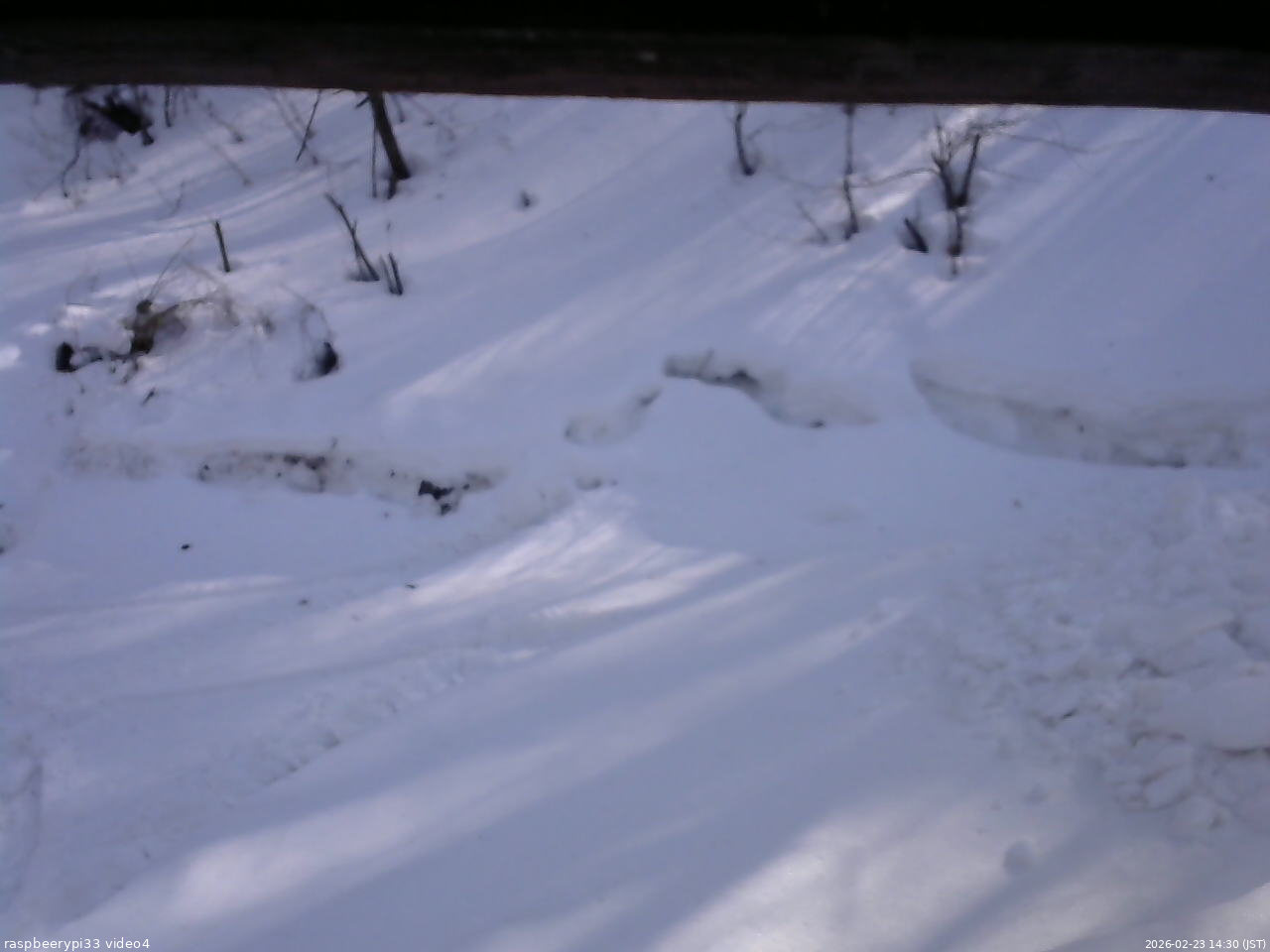 長野県菅平高原 ゆたか山荘 東側(坂下) 2026/02/23 14:30