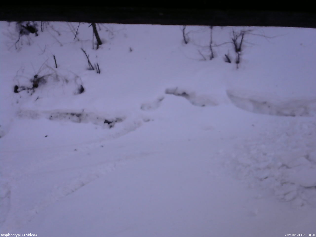 長野県菅平高原 ゆたか山荘 東側(坂下) 2026/02/23 15:30