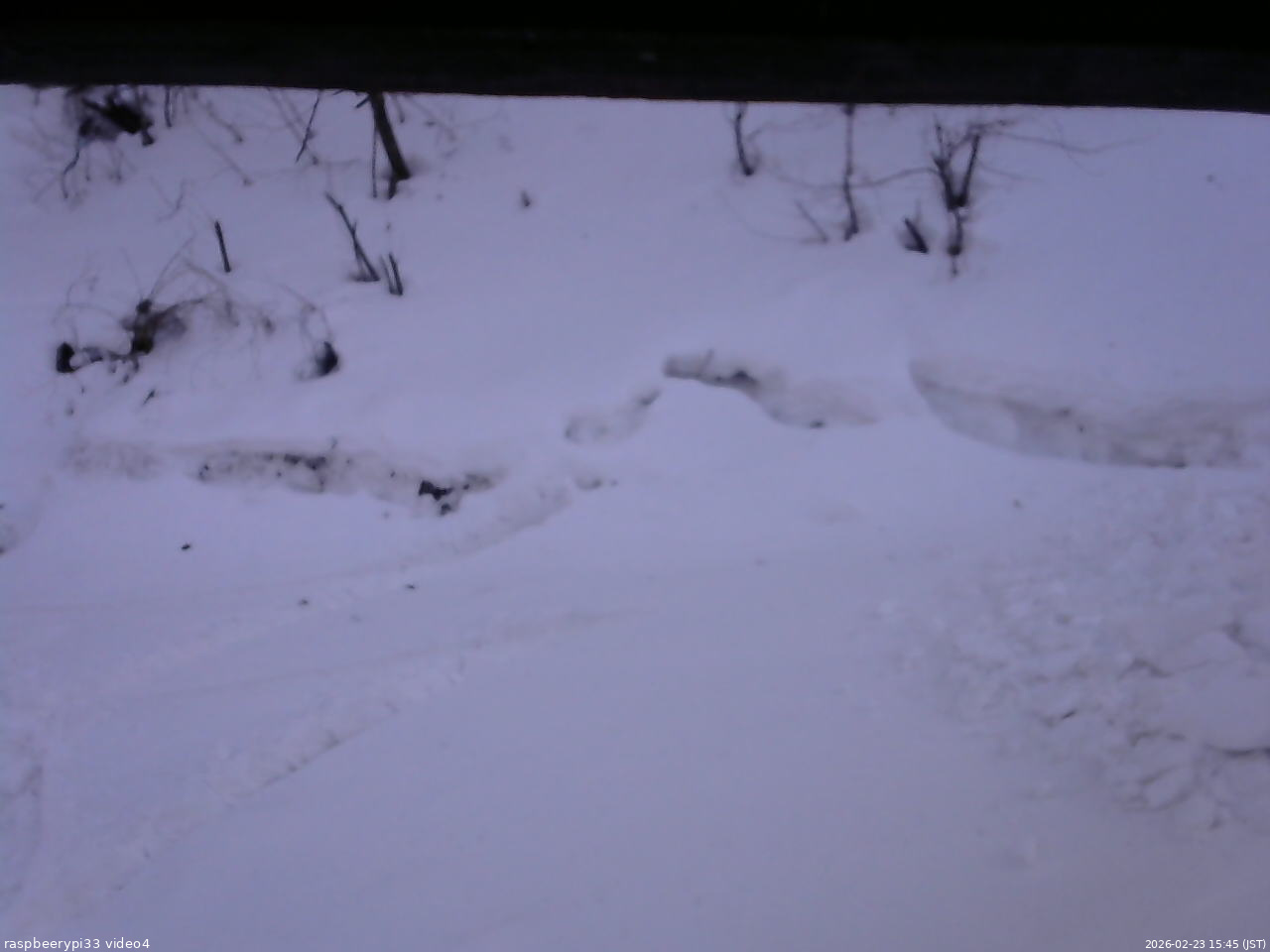 長野県菅平高原 ゆたか山荘 東側(坂下) 2026/02/23 15:45