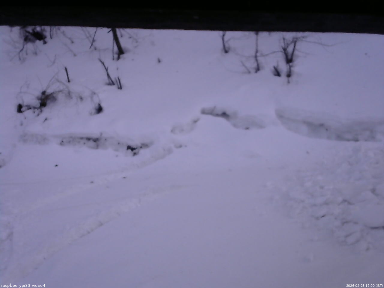 長野県菅平高原 ゆたか山荘 東側(坂下) 2026/02/23 17:00