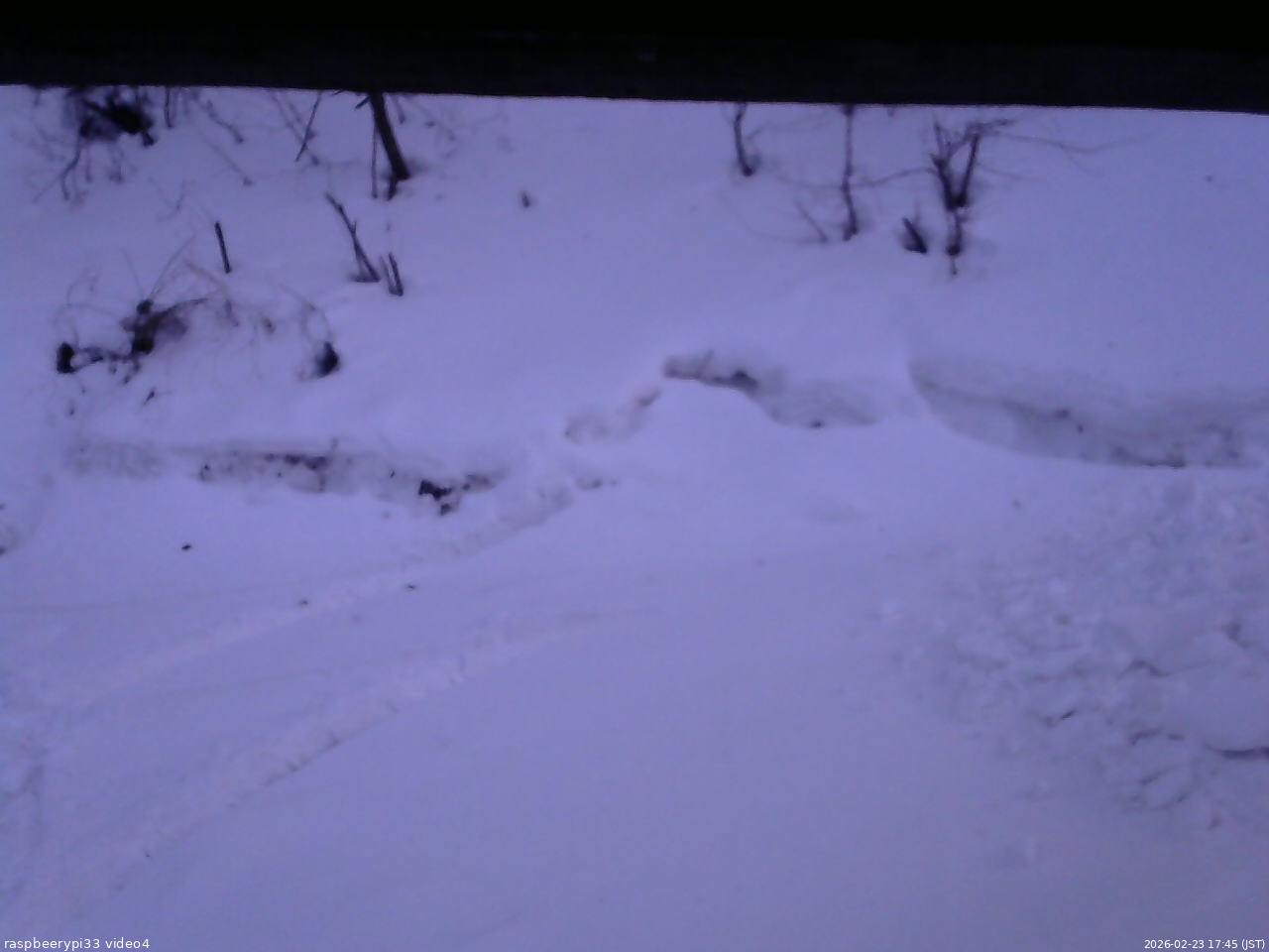 長野県菅平高原 ゆたか山荘 東側(坂下) 2026/02/23 17:45