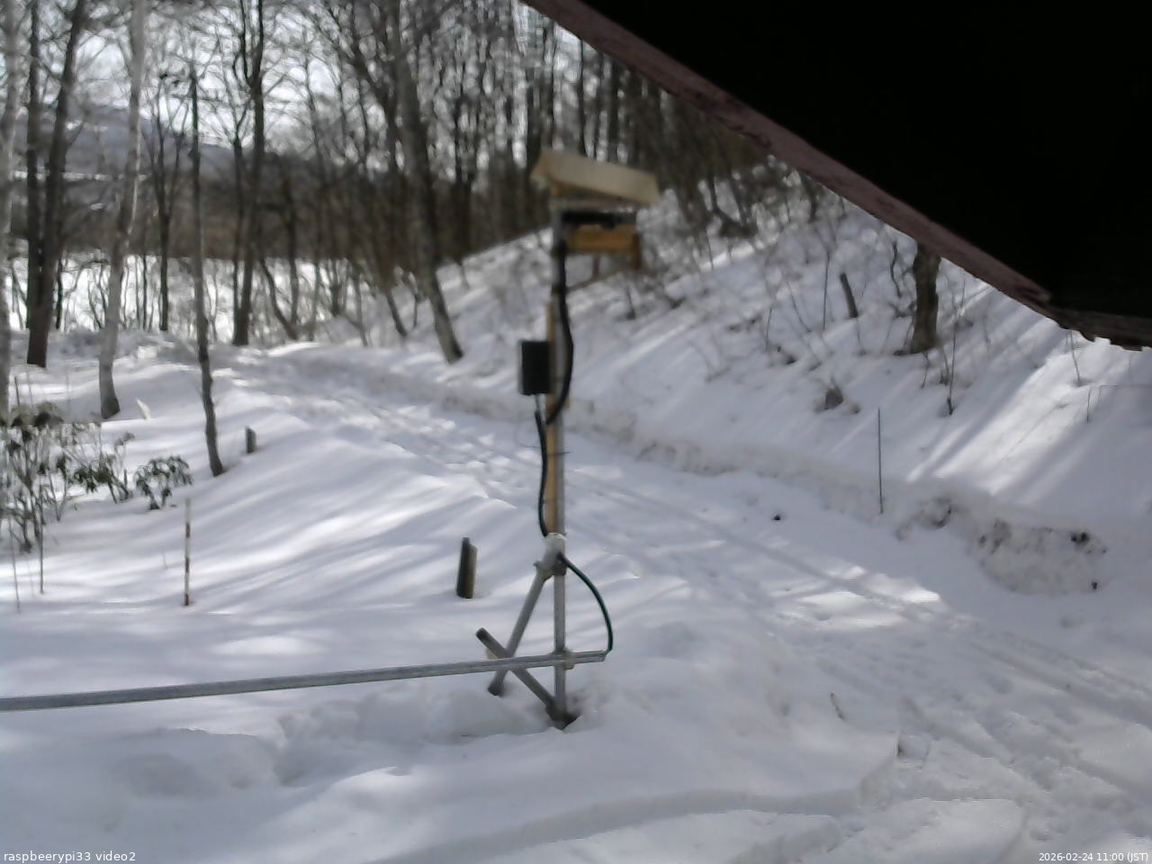 長野県菅平高原 ゆたか山荘 南側 2026/02/24 11:00