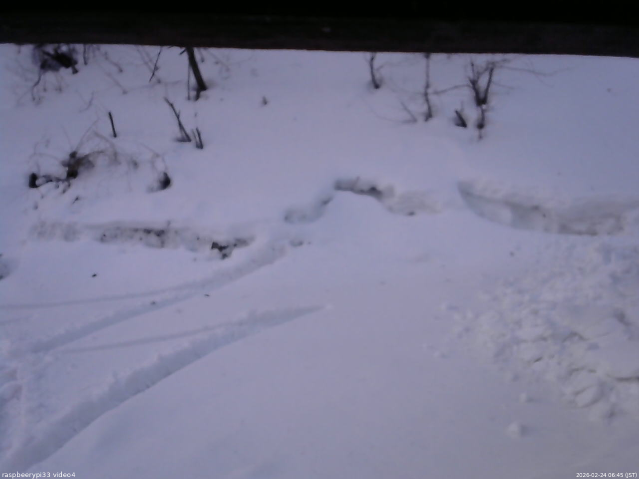 長野県菅平高原 ゆたか山荘 東側(坂下) 2026/02/24 06:45