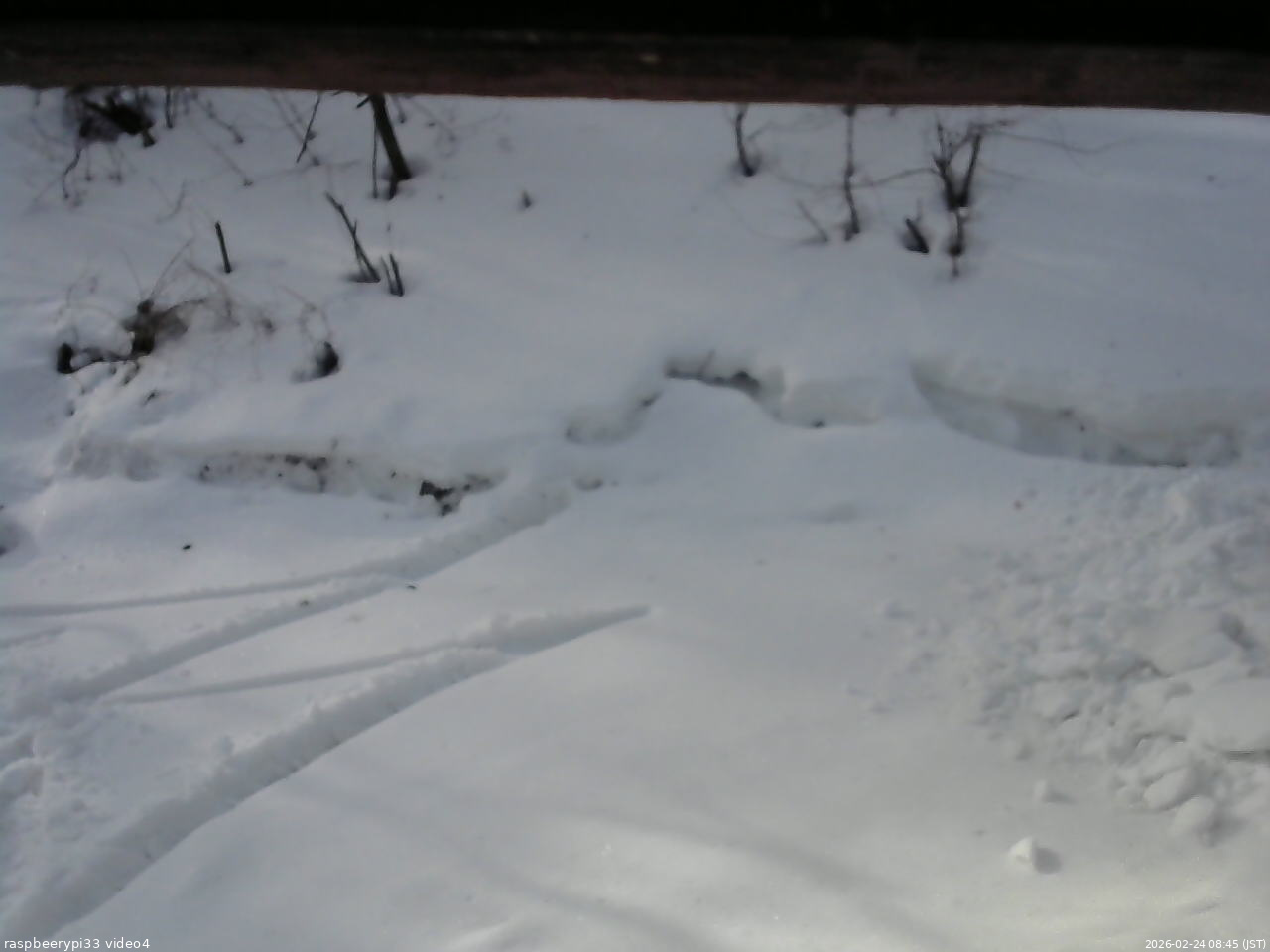 長野県菅平高原 ゆたか山荘 東側(坂下) 2026/02/24 08:45