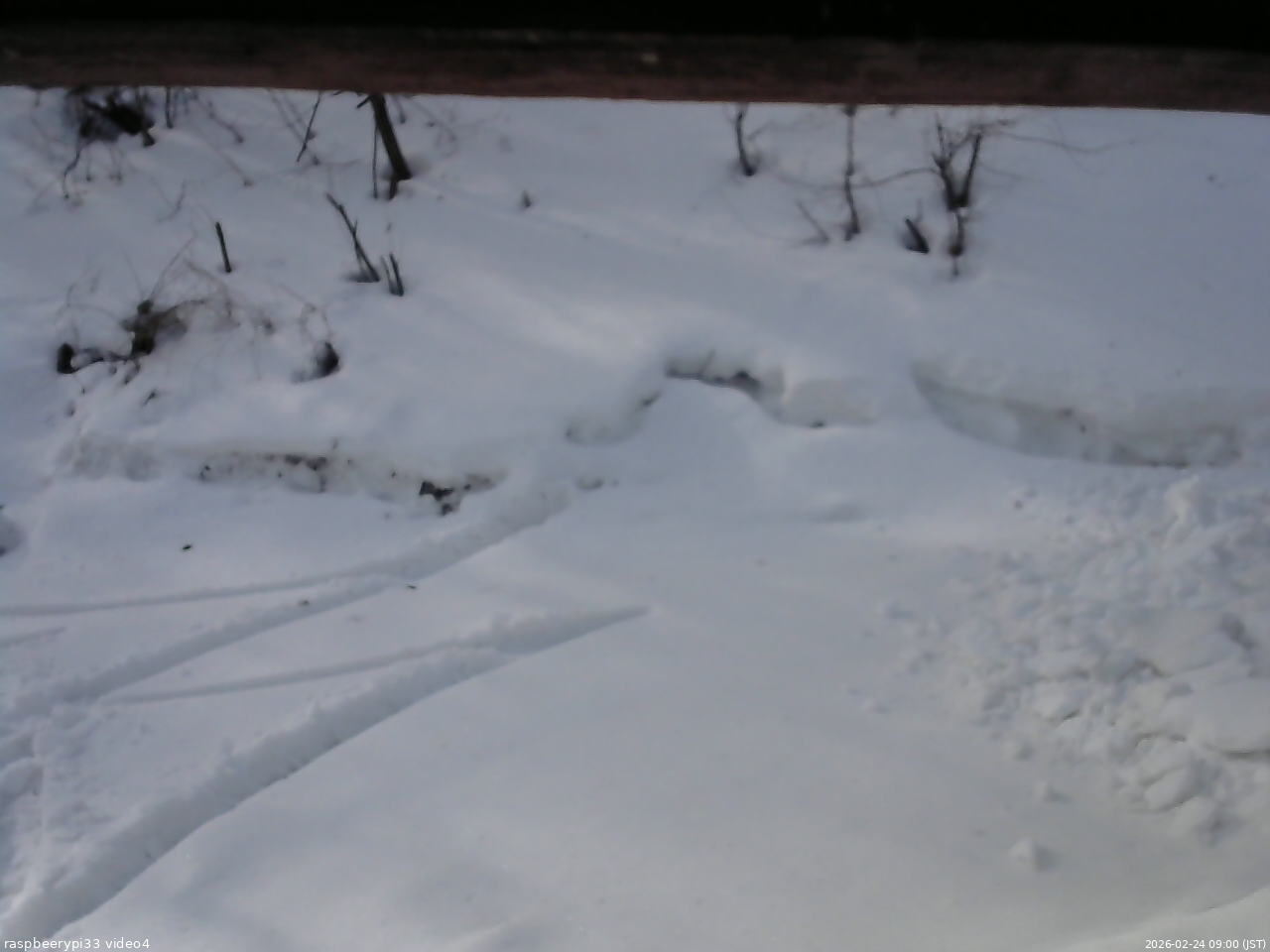 長野県菅平高原 ゆたか山荘 東側(坂下) 2026/02/24 09:00
