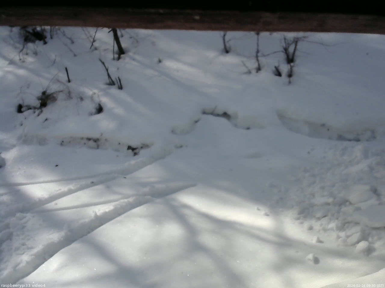 長野県菅平高原 ゆたか山荘 東側(坂下) 2026/02/24 09:30