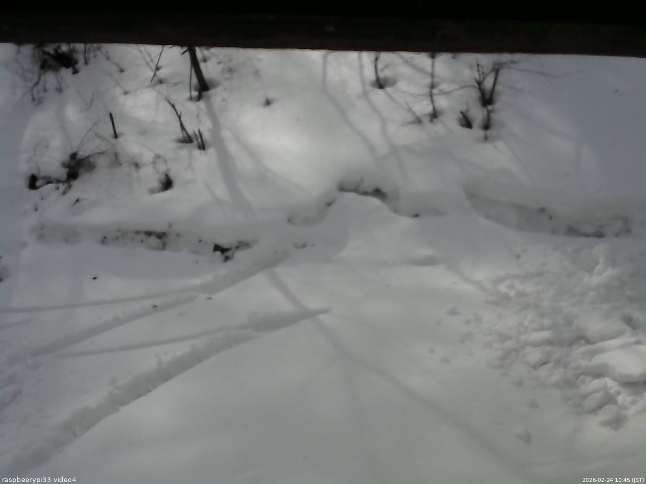 長野県菅平高原 ゆたか山荘 東側(坂下) 2026/02/24 10:45