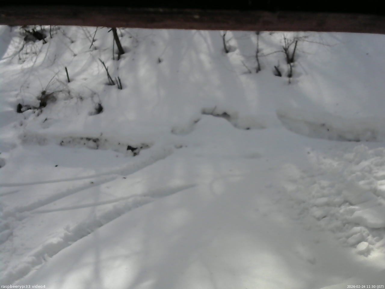 長野県菅平高原 ゆたか山荘 東側(坂下) 2026/02/24 11:30