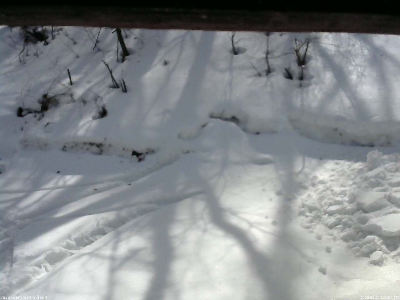 長野県菅平高原 ゆたか山荘 東側(坂下) 2026/02/24 12:15