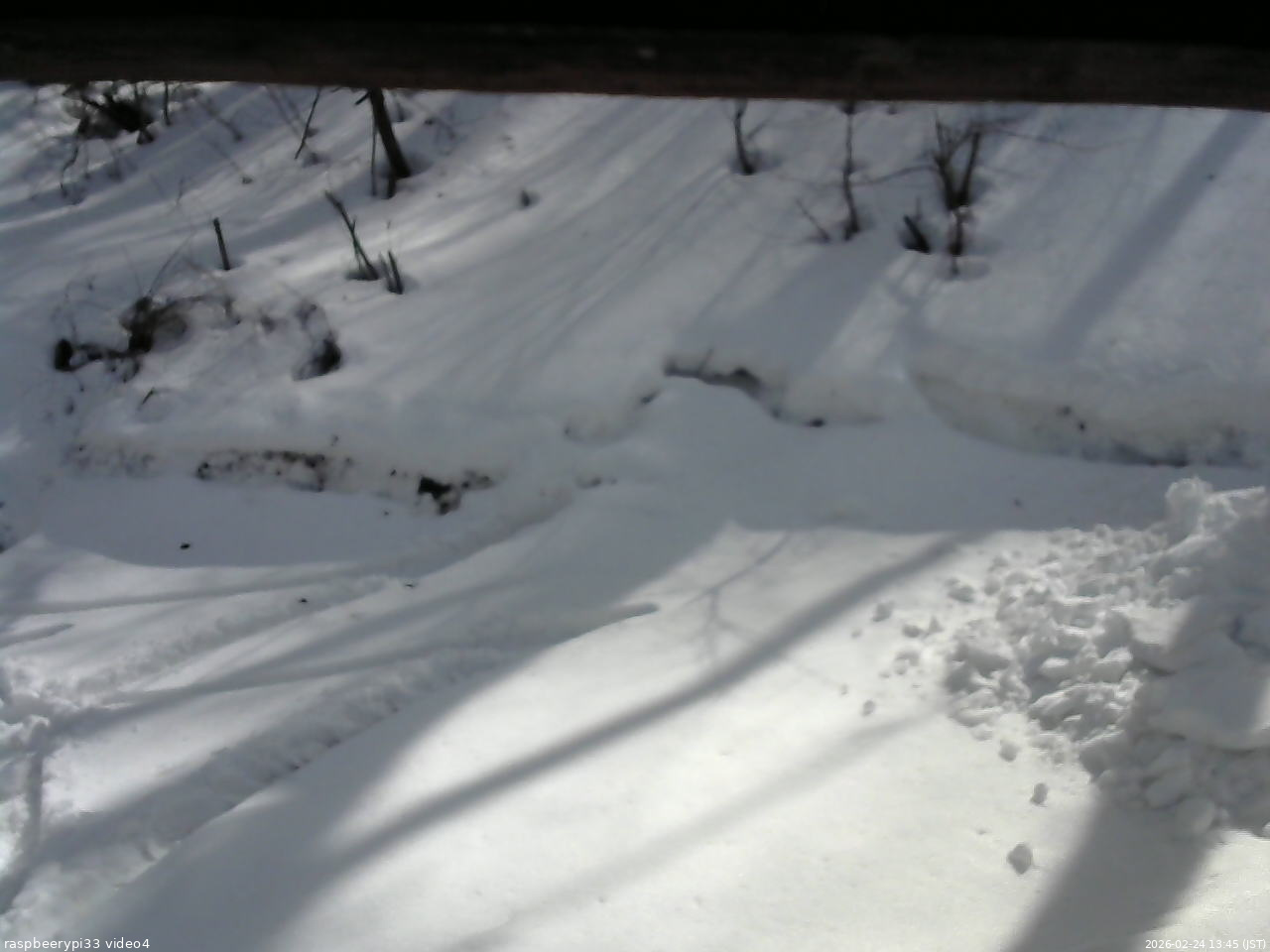 長野県菅平高原 ゆたか山荘 東側(坂下) 2026/02/24 13:45