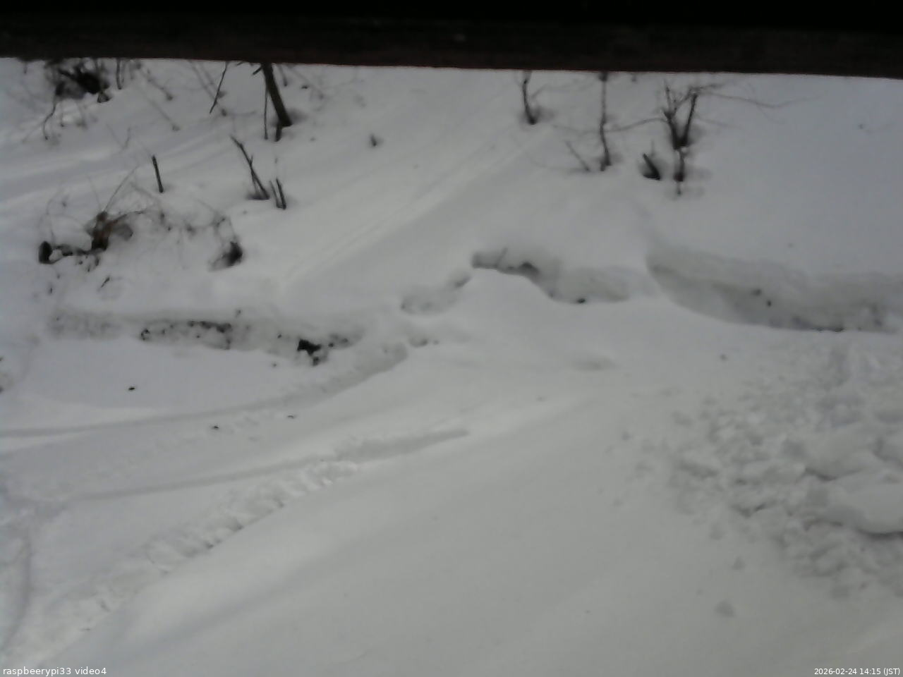 長野県菅平高原 ゆたか山荘 東側(坂下) 2026/02/24 14:15