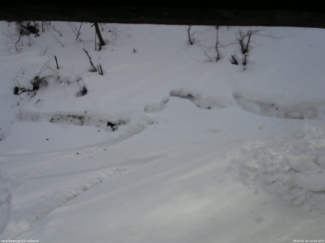 長野県菅平高原 ゆたか山荘 東側(坂下) 2026/02/24 15:00