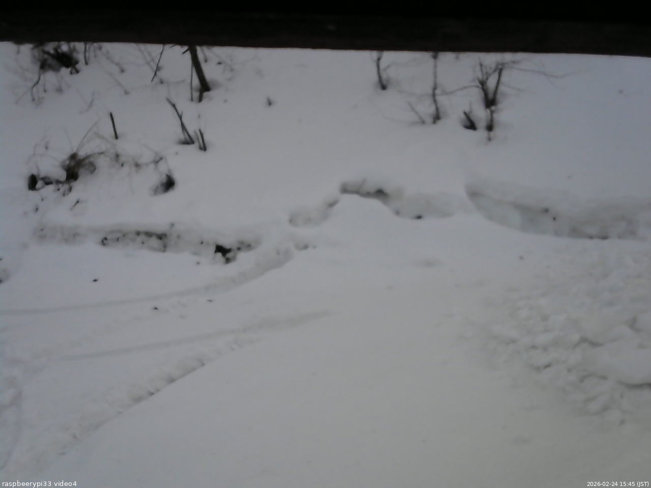 長野県菅平高原 ゆたか山荘 東側(坂下) 2026/02/24 15:45