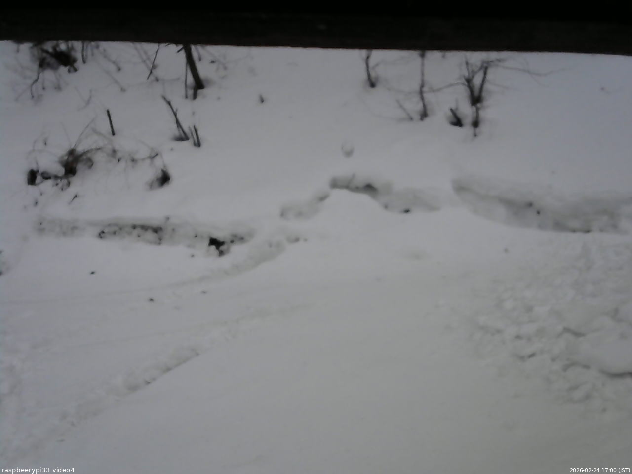 長野県菅平高原 ゆたか山荘 東側(坂下) 2026/02/24 17:00