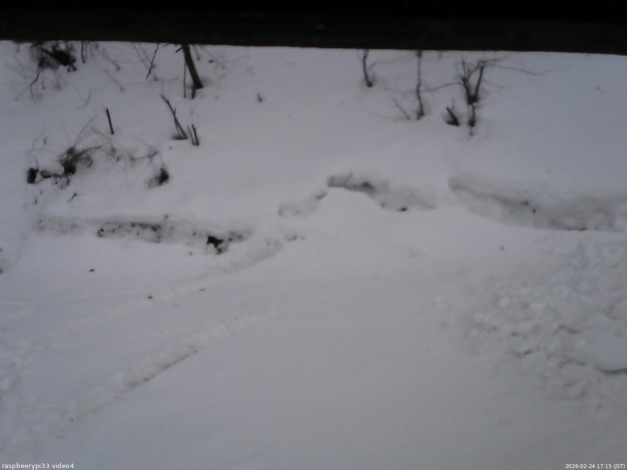 長野県菅平高原 ゆたか山荘 東側(坂下) 2026/02/24 17:15