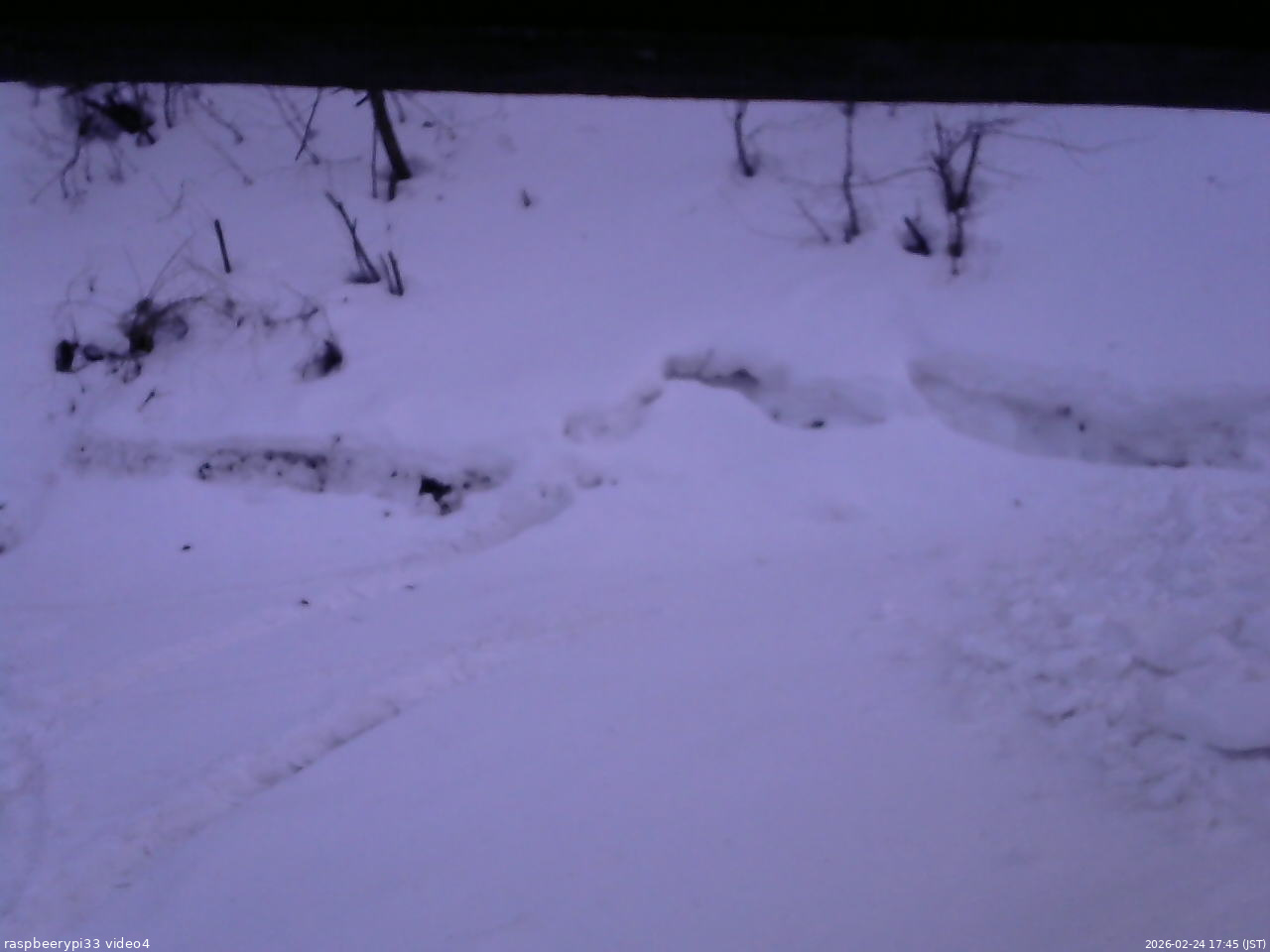 長野県菅平高原 ゆたか山荘 東側(坂下) 2026/02/24 17:45