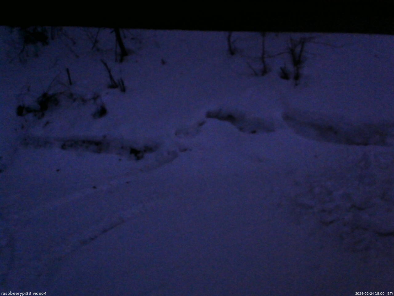 長野県菅平高原 ゆたか山荘 東側(坂下) 2026/02/24 18:00