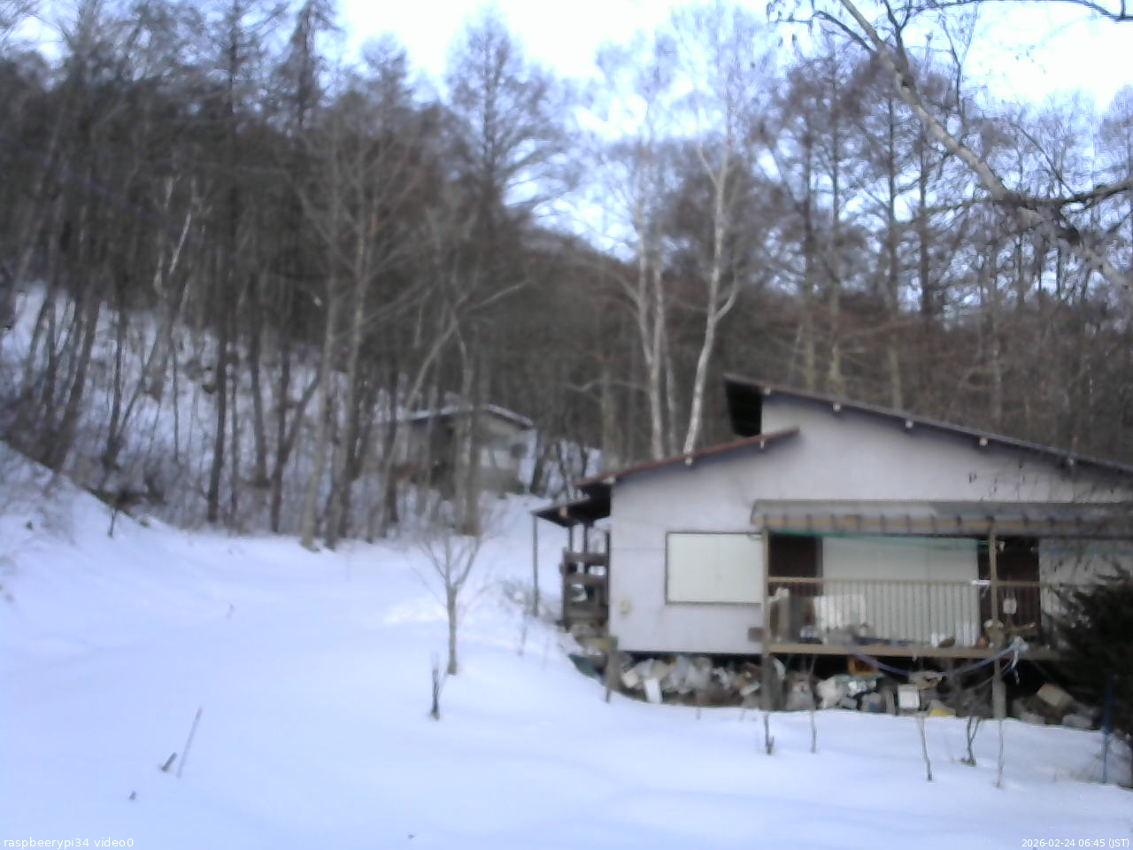 長野県菅平高原 ゆたか山荘 西側(坂上) 2026/02/24 06:45