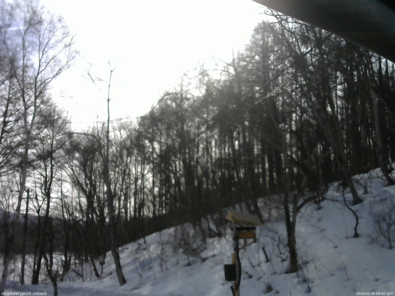 長野県菅平高原 ゆたか山荘 温度計 2026/02/24 09:00