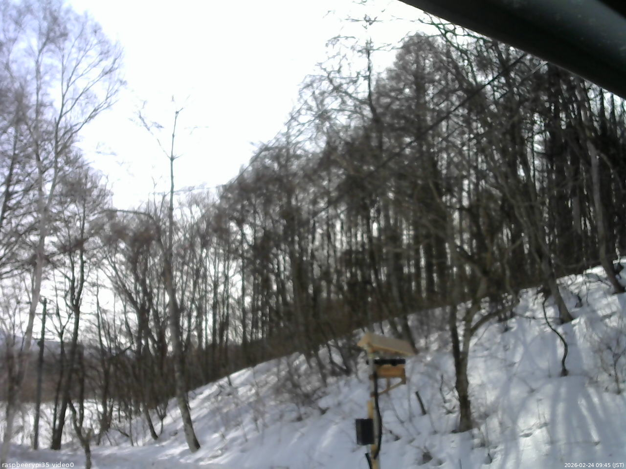 長野県菅平高原 ゆたか山荘 温度計 2026/02/24 09:45
